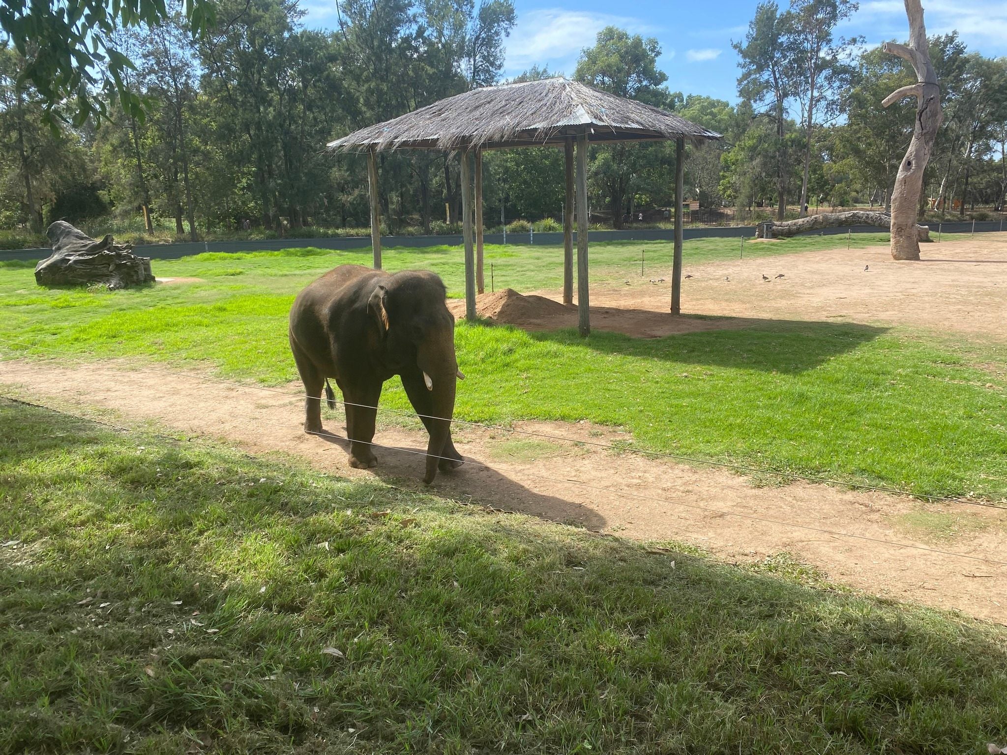 Dubbo Zoo 2025 Image -67de04a0e8c00